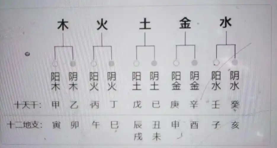 写美篇             主讲老师:吴钩              主讲内容:天干地支