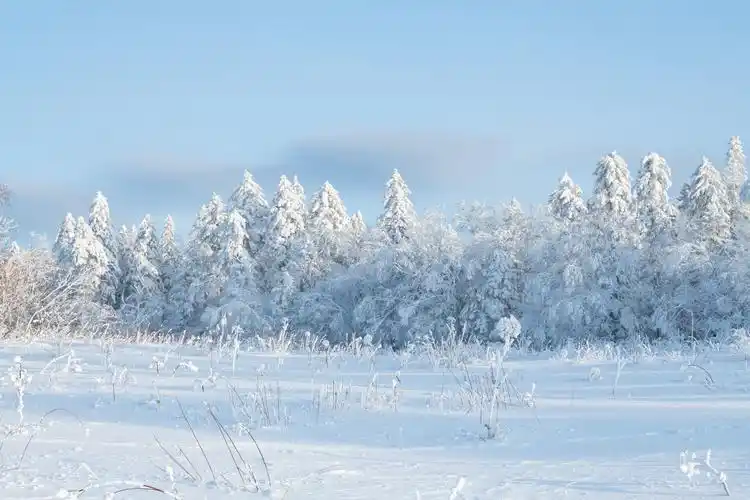 长白山四天三夜游怎么玩丨滑雪温泉漂流全干货