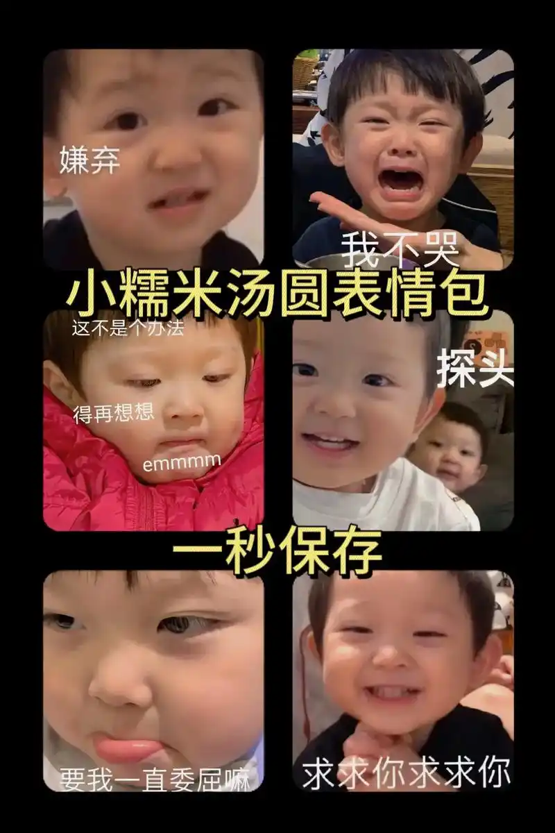 小糯米汤圆表情包.