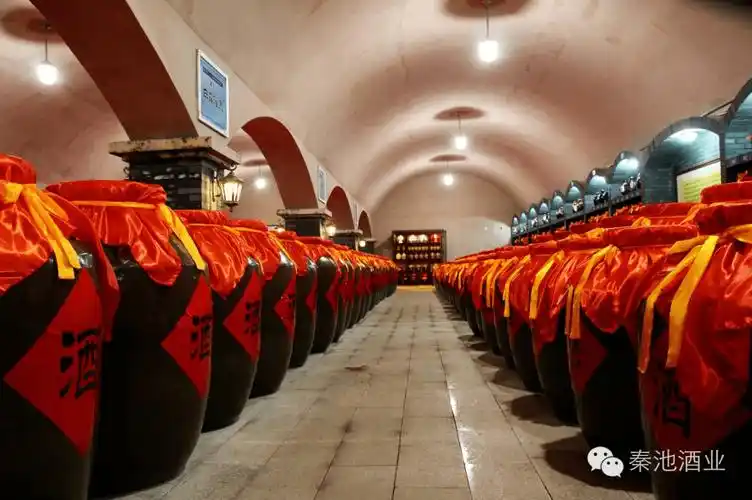 秦池东镇酒窖洞藏老酒原浆酒认储开始啦