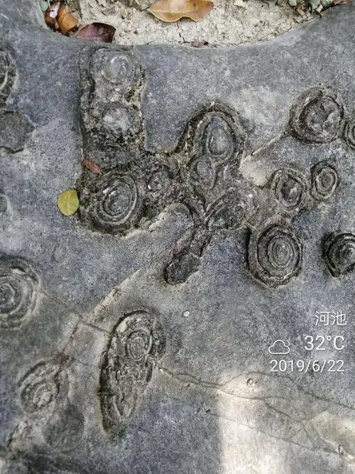 都安长寿山,世上一绝石头开花.2019年6月22白