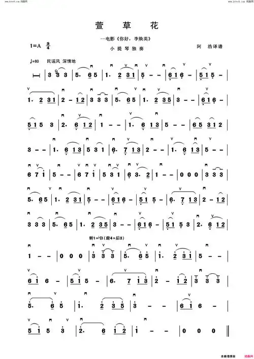 萱草花小提琴独奏简谱1