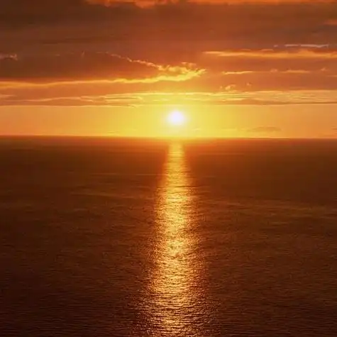 好看头像风景图片花草,这美景顿然心悟,豁然开朗-唯美头像