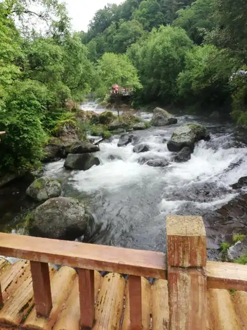 长白县十五道沟望天鹅风景区,现正在申报"中国吉林长白山望天鹅