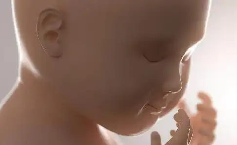 孕期,内裤若有3种颜色,多加注意,或许是宝宝的"求救"信号_分泌物_症状