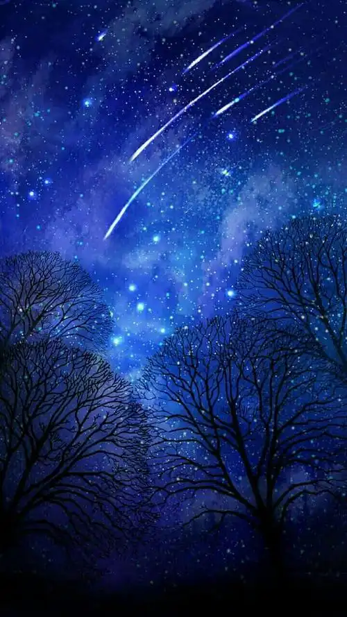 温柔的星空送给你