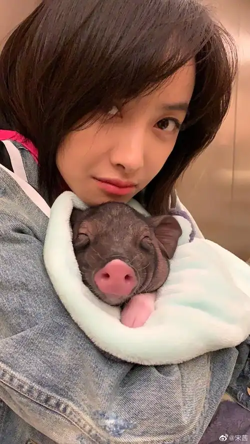 宋茜小八:"姐不在江湖,江湖依然有姐的传说.山上的朋友