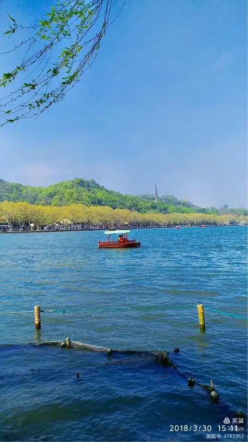 春意盎然1(mi max 2小米手机拍摄于杭州西湖白堤)