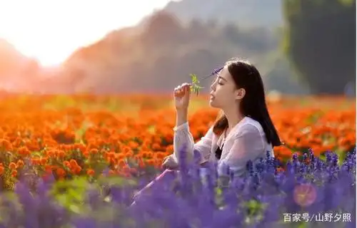 好的构图!为什么可以拍出有意境的花海人像?