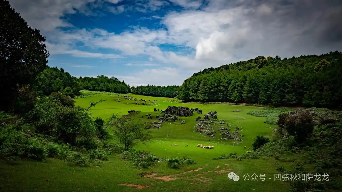 不输阿勒泰草原的大理巍山绝美高山草甸.
