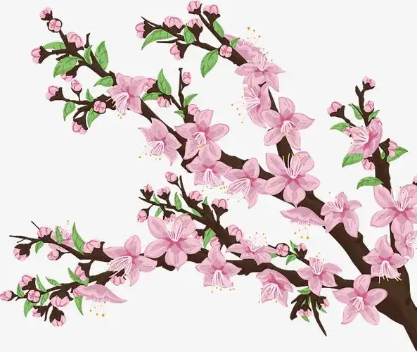 春季 卡通 粉色桃花 装饰图案 免抠图png