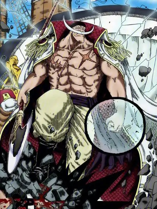 海贼王壁纸白胡子