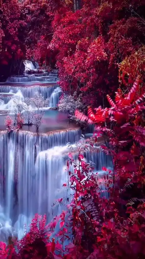 大自然最美风景#遇见春天天地日月之精华