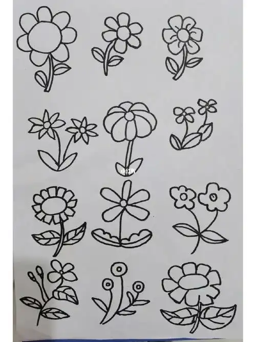 简笔画植物～花朵