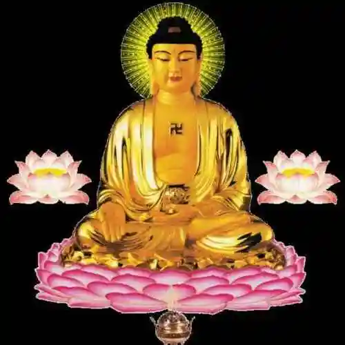 阿弥陀佛180732471头像