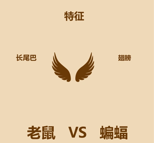 老鼠是蝙蝠进化来的?