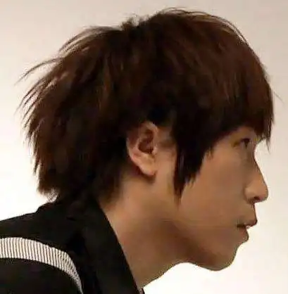 最后我们再来看看明星的头型情况.