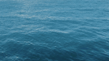 李宗盛谱一曲《漂洋过海来看你》:言语从来没能将我的情意表达千万分