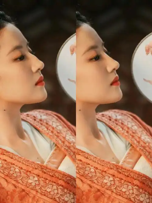 驼峰鼻模板刘亦菲