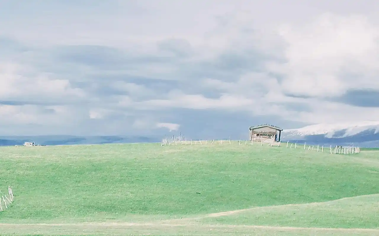 小清新草原简约唯美高清桌面壁纸