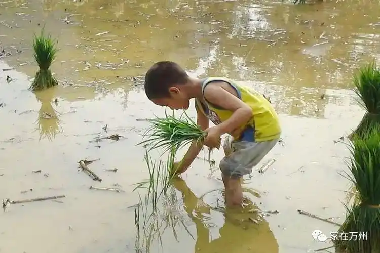 农村孩子的童年回忆!你还记得几样?
