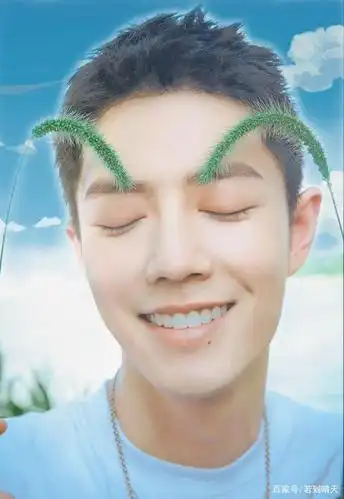 突然也想玩狗尾巴草了