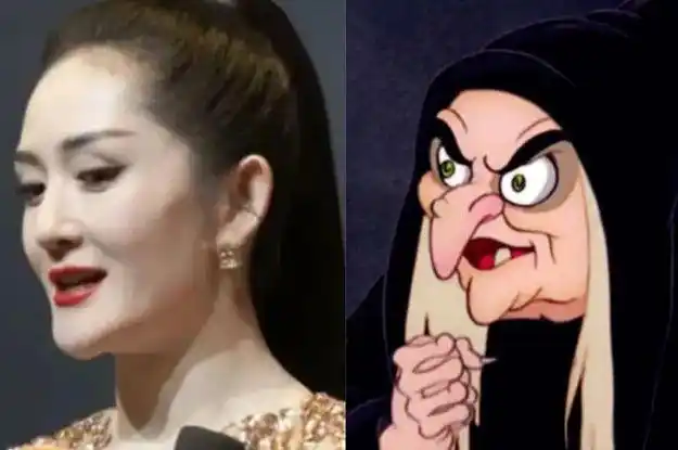 谢娜自曝2胎产后瘦20斤眼窝凹显老态脸僵嘴歪被嘲变老太婆