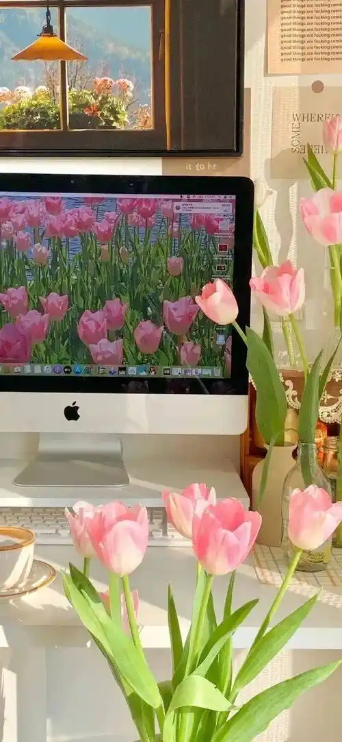 壁纸|值得用很久的全屏壁纸