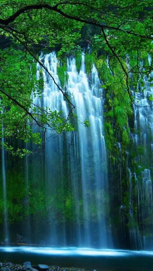 壮丽的瀑布壁纸