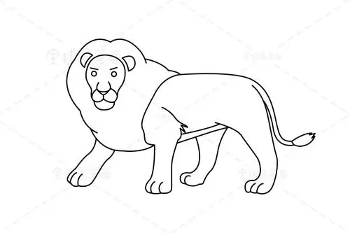 狮子简笔画画法图解