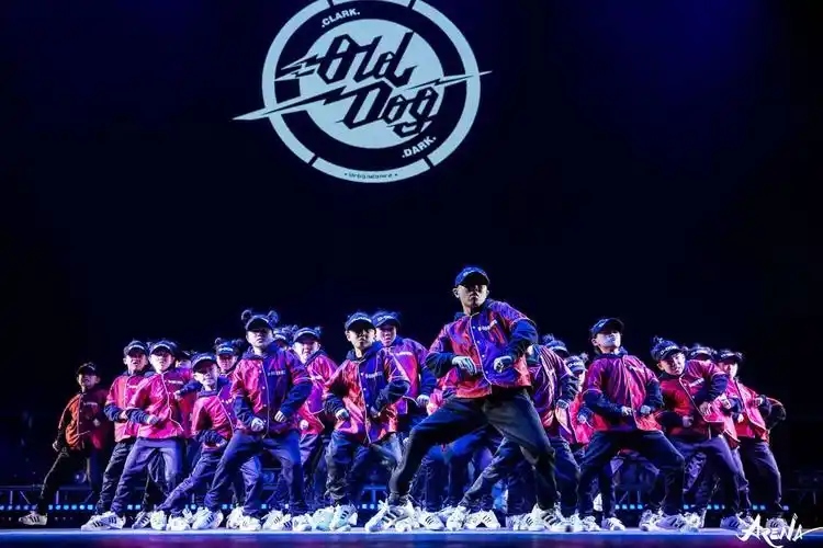 均龄10岁的亚洲齐舞冠军:o-dog kids战队 __凤凰网