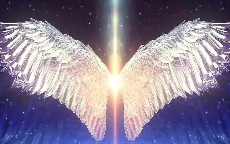 c673a 大气蓝色粒子背景白色天使翅膀3d全息投影素材梦幻开场视频婚庆