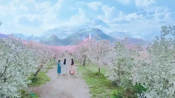 山河令[超话]# 四季山庄的春天,温客行这.