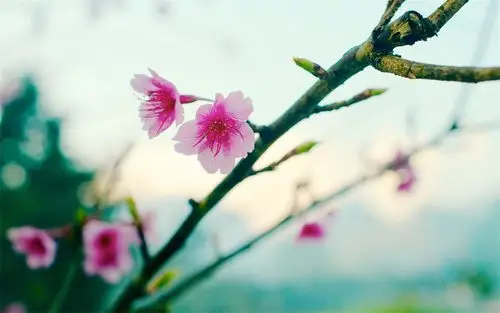 精选唯美小清新lomo风格治愈系护眼壁纸高清图片电脑桌面壁纸下载(四)