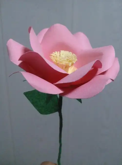 牛牛妈妈用硬卡纸做的花真漂亮