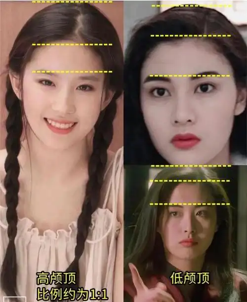 但细看很多美女,颅顶和刘亦菲相比都输得很彻底.