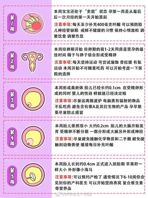 1/ 9 孕期40周胎儿发育过程图