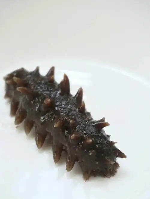 美食分享你绝对没有吃过的即食海参