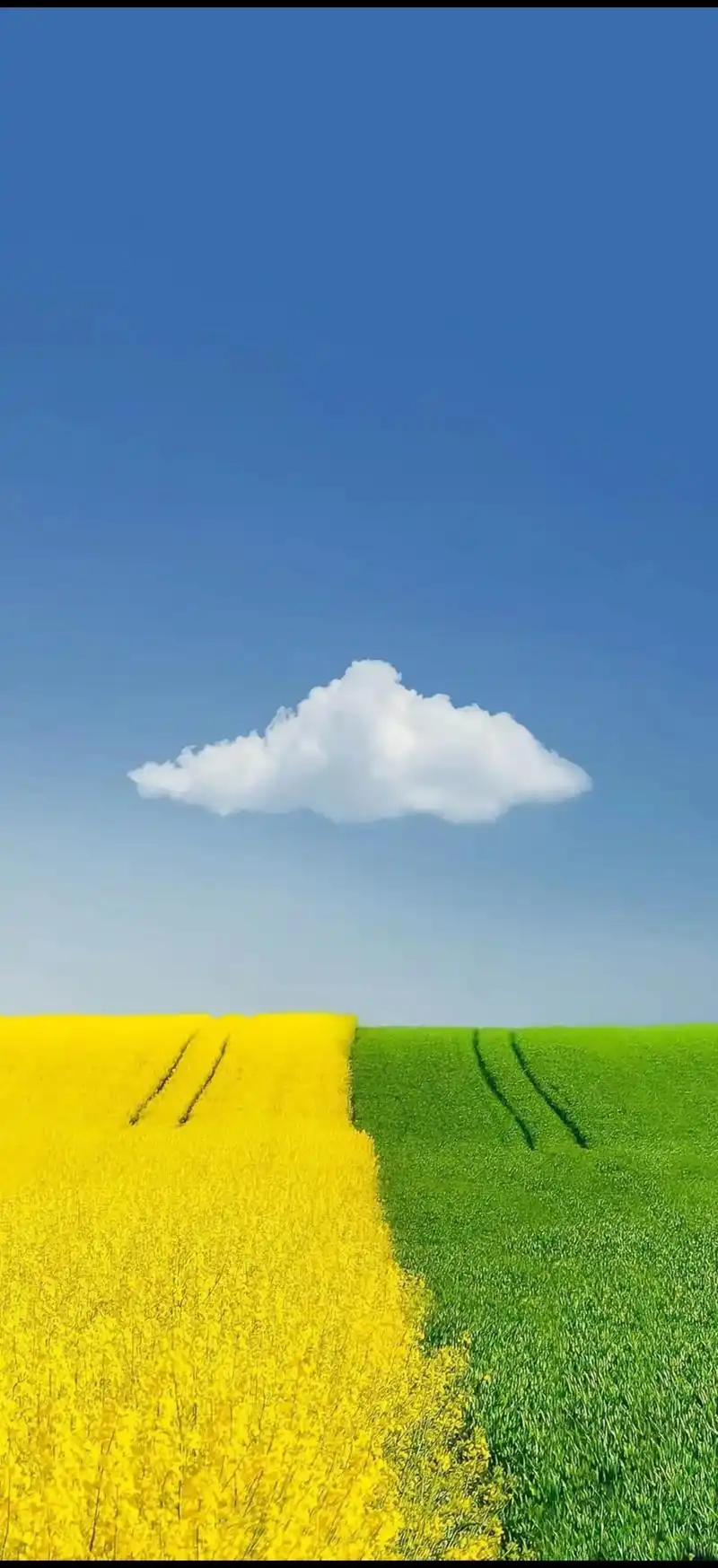 1440_3144竖版 竖屏