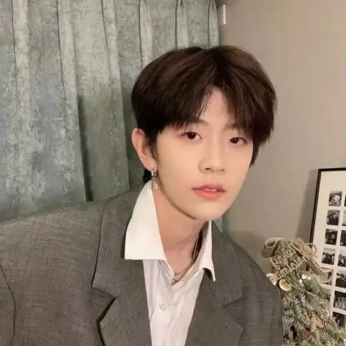 假发男中分蓬松帅气