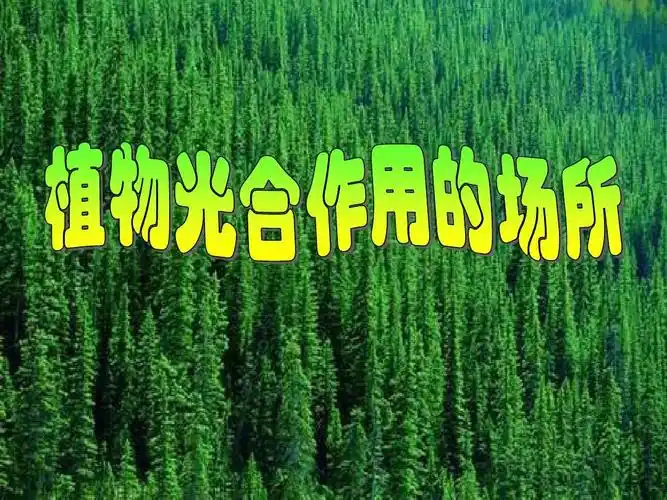 2植物光合作用的场所