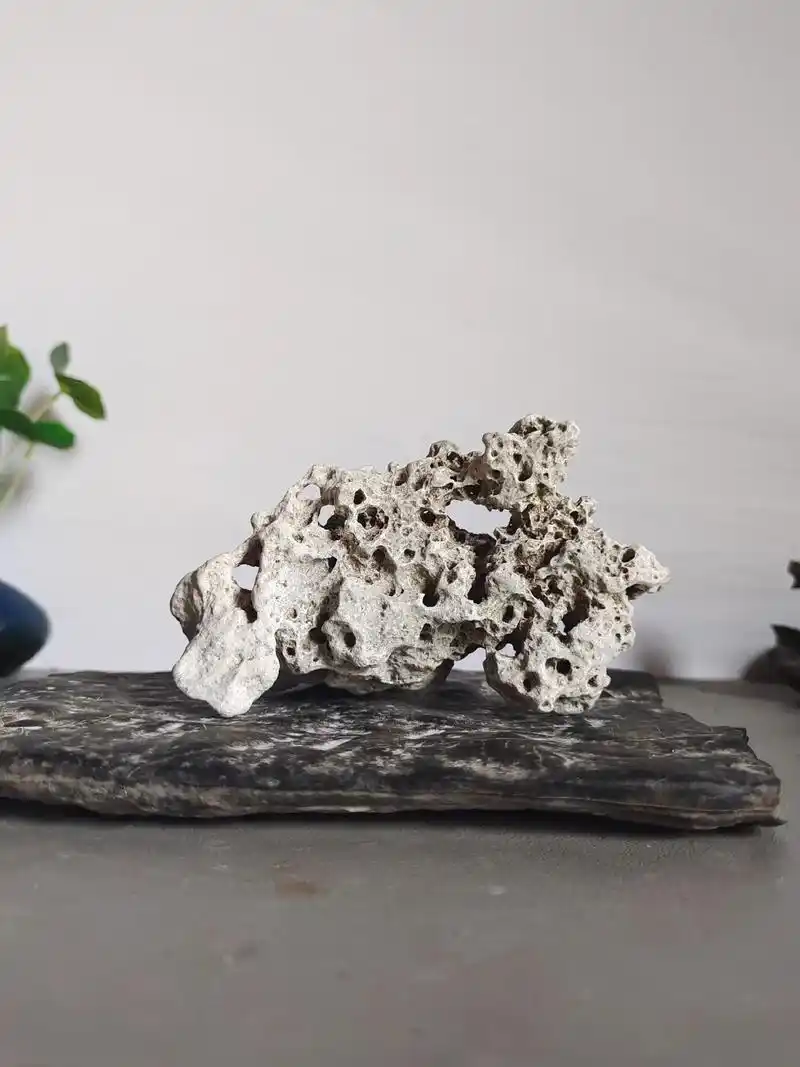 太湖石 #奇石 #原石 #奇石图片 - 抖音