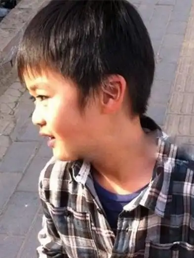 【图】那英儿子高兴个人资料 揭秘高峰那英为何分手离婚