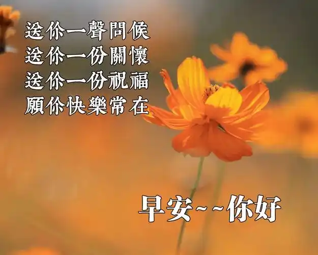 2020新版早上好问候语图片大全2020最新早安祝福语带图片