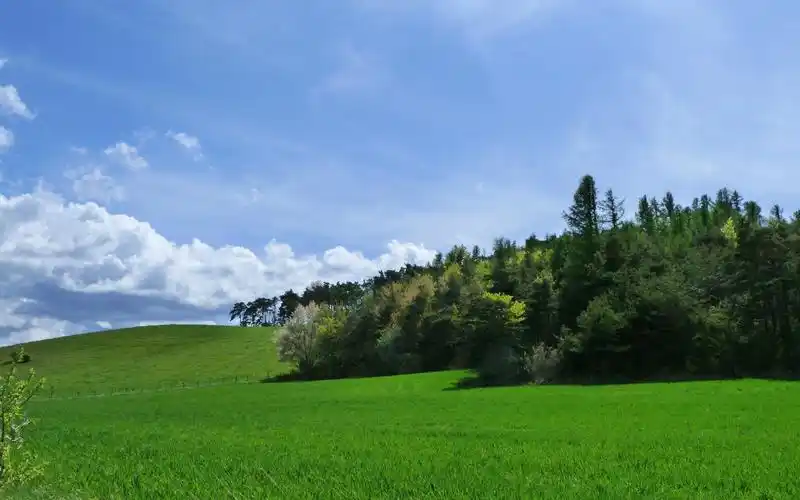 电脑壁纸 风景 欣赏小清新优美的大自然草原风光