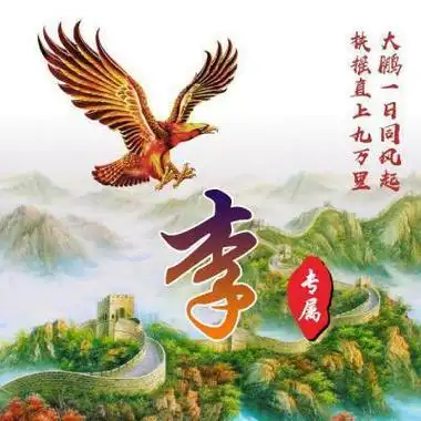 姓氏头像带李字图片 男生