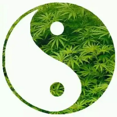 原宿风素材 - 堆糖,美图壁纸兴趣社区