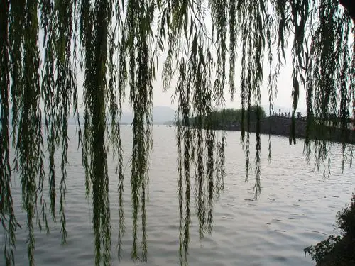 2019柳浪闻莺_旅游攻略_门票_地址_游记点评,杭州旅游景点推荐 - 去