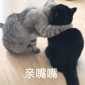 还是先撅嘴啊_亲嘴_闭眼_太久_还是表情是先闭眼呢?还是先噘嘴呀?