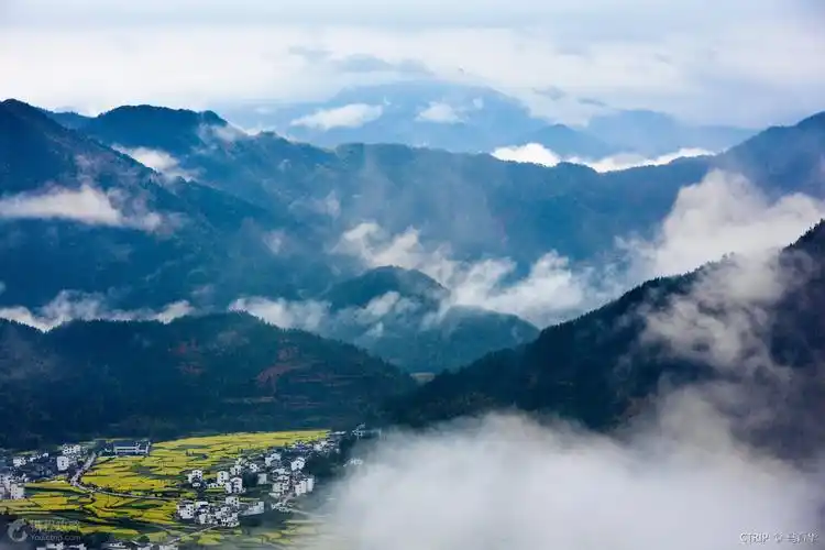 这才是婺源最美的地方3月可别去错了